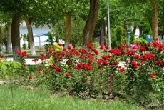 Volna Anapa 